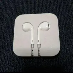 Apple純正　旧型有線イヤホン