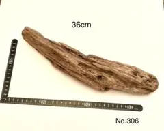 Item thumbnail for item d68f9af4-1601-4eff-8802-a707a142243f