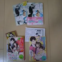 ベリーズ文庫他３冊（特典付き）