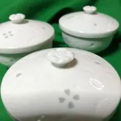 Item thumbnail for item a8e4506c-0336-484c-a2a2-c0dd99a75aea