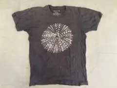 mollusk tシャツ　スミクロ　USA USEDビンテージ 古着