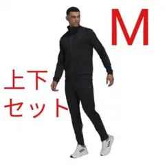 Item thumbnail for item 287c57f2-b0c4-4992-b302-f25b671d4fca