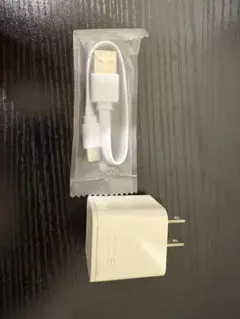IQOS USB電源アダプターとCタイプケーブル