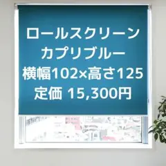 定価 15,300円／24年12月購入／つっぱり式のロールスクリーン