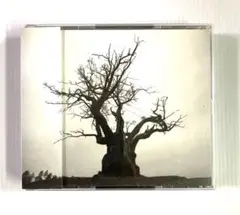 SEKAI NO OWARI 2010-2019 セカイノオワリ