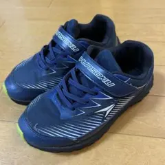 Item thumbnail for item 0d3a7242-1110-45b9-ab77-84f655d42214