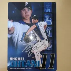 大谷翔平　ファイターズ　日ハム　下敷き