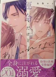 漫画 運命だけどあいいれない 2巻 シュリンク付き