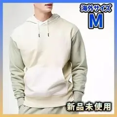 ノースフェイス カラーブロック 長袖パーカー プルオーバー ベージュ メンズ L
