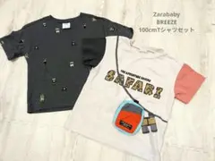 ◆値下げ中◆【即購入禁止】zarababy BREEZE 100cm Tシャツ