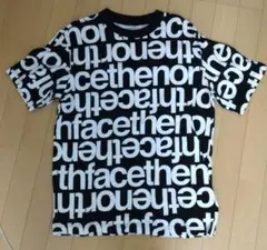 THE NORH FACE 総柄 Tシャツ 米国 メンズ Lサイズ相当