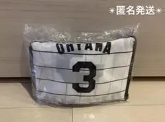 阪神タイガース 選手ECOバック エコバッグ 大山悠輔