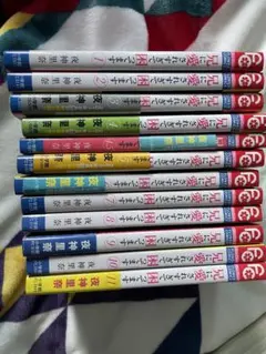 兄に愛されすぎて困ってます（1～11巻セット）