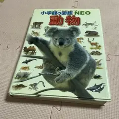 Item thumbnail for item 5c924fc6-02d6-4a50-a6c8-3bc9a5200dd0