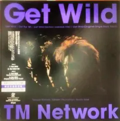 globe Get Wild TK Remix 未開封品 非売品 globe Get Wild TK Remix 未開封品 非売品 - メルカリ