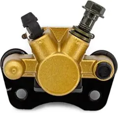 リアブレーキキャリパー に適合する 4 輪オートバイアクセサリー M10 50