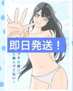 C106 コミケ106 青春ブタ野郎は作画を修正できない1 たむらみかん　青ブタ