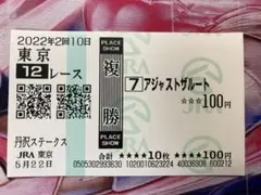 アジャストザルート　馬券　現地