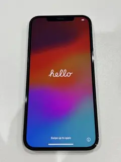 Apple iPhone 12 Pro Max 256GB SIMフリー