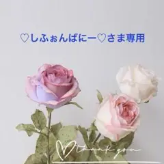 専用