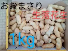 1kg おおまさり 落花生 生落花生 無農薬