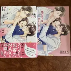 隣の王子は甘えさせ上手 園瀬もち
