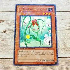 遊戯王　ナチュルローズウィップ　DT04　レア　1枚