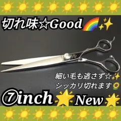 Item thumbnail for item 8e3a837f-6bac-434b-aa2f-9cbfaf455dd6