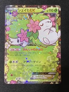 PSA10 シェイミEX ポケキュン　プレミアムセット　ポケモンカード　鑑定品
