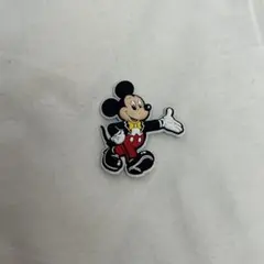 東京ディズニーリゾート40周年　ドリームゴーラウンド　マグネット　ミッキー