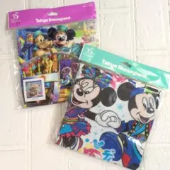 ディズニーリゾート　ウォッシュタオルセット