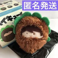 及川徹 ハイキュー‼︎ くるみたぴぬい Vol.2 ぬいぐるみ