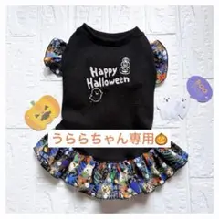 Item thumbnail for item d7948c26-4091-4191-b571-3e047bb71e39