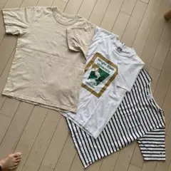 メンズTシャツ（含 SCREEN STARS BEST他） Lサイズ3枚セット