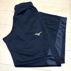 Item thumbnail for item 1466eb36-70eb-419b-8535-f322977e761c