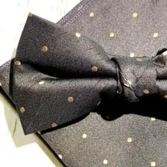 Item thumbnail for item 19038543-2be9-4bb2-bda9-48d70fee7c86