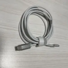 USB-C to MagSafe2 T型