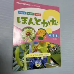 ほんとかな？ 2019年版