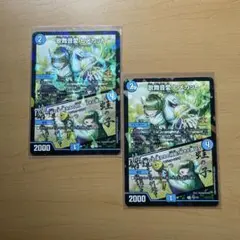 ヒメカット　プロモ2枚