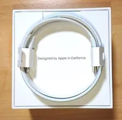 USB-C to Lightning アップル 純正 正規品 1m