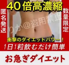 数量限定❤️有名人愛用 肥満解消 成功続出 短期集中 ダイエットサプリ 9900円