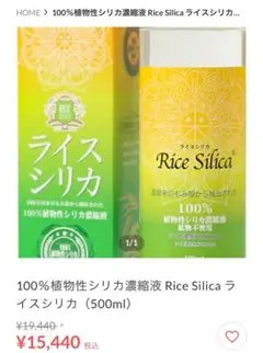 Item thumbnail for item 86d4fd47-3566-4b62-a391-4e1d1bacfc07