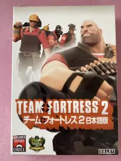 ☆TEAM FORTRESS 2☆チームフォートレス2 日本語版　DVD-ROM