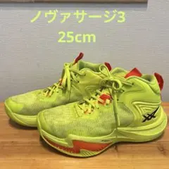 【美品】NOVA SURGE 3 PARIS 29cm ノヴァサージ3 NOVA SURGE 3 PARIS | SAFETY YELLOW/BLACK | メンズ