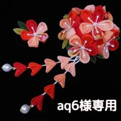 aq6様専用
