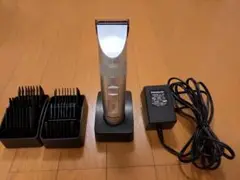 Item thumbnail for item 90707ec1-4afd-49d1-974d-76738aa4056d