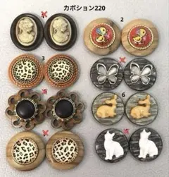 ボタンカボション220⑥ 4/11
