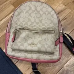 Item thumbnail for item 6e0f6b33-b406-4e9f-931b-5bb8c6ace0e0