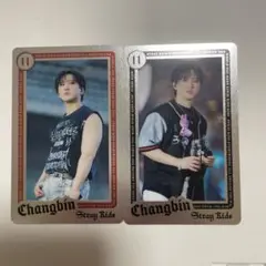 straykids チャンビン　ライブフォトカード　セット