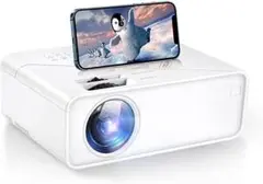 Item thumbnail for item 7155d348-e25f-4dd4-b080-5cf3df0e8220